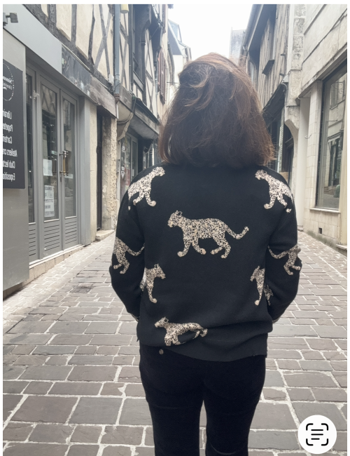 Pull jacquard léopards noir  Lola Casademunt